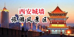 俄罗斯小骚B被操视频中国陕西-西安城墙旅游风景区